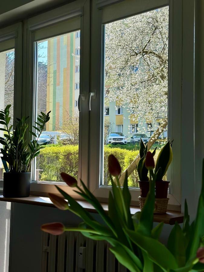Uroczy Apartament - 索波特 外观 照片